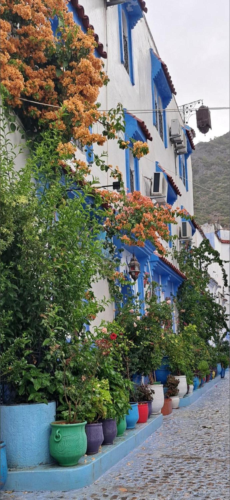 Dar Yakout Hotel Chefchaouen Exterior foto